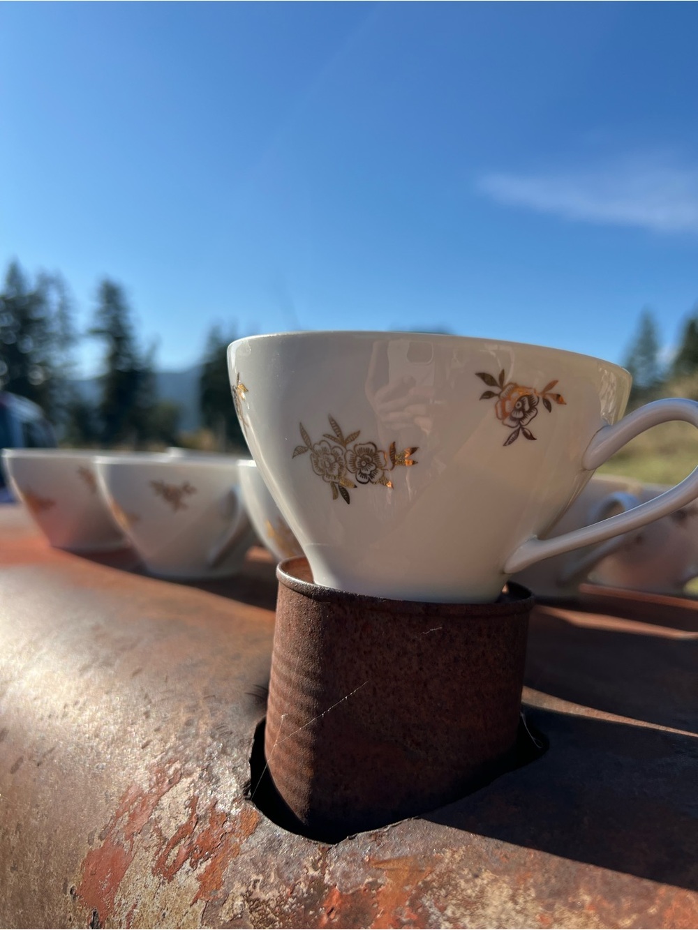 Vintage Bavaria Germany Floral Rosebud Teacup Set 10 Cups Gold Trim Fine china